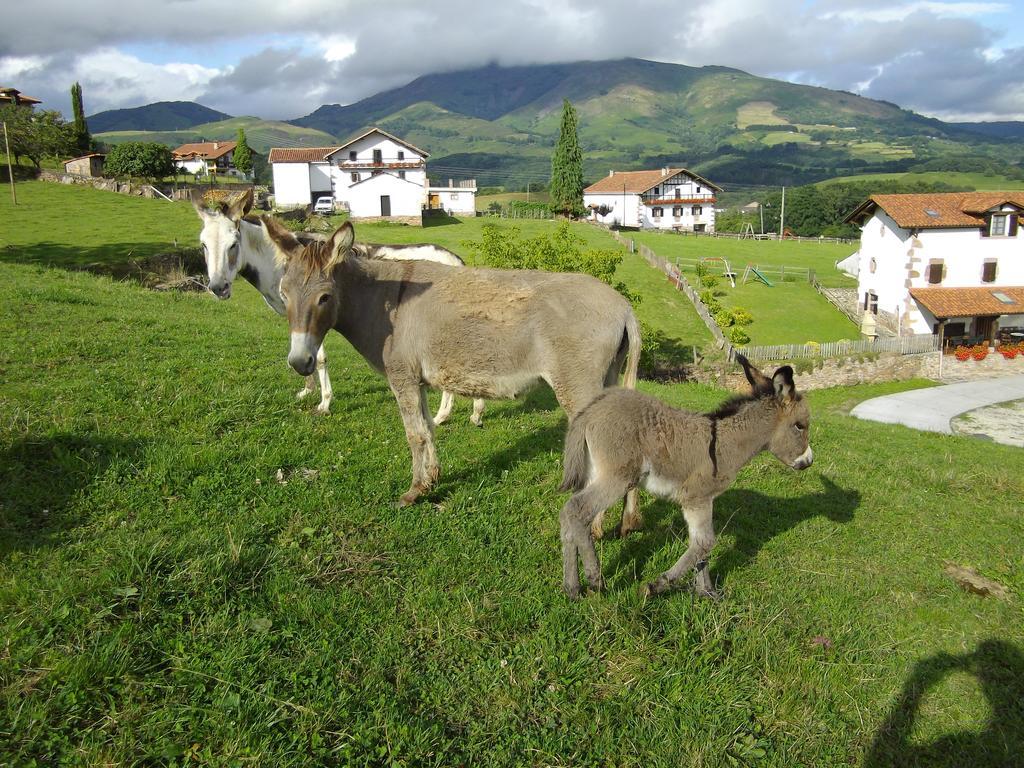 Casa Rural Petisansenea II Zuaztoy de Azpilcueta ภายนอก รูปภาพ